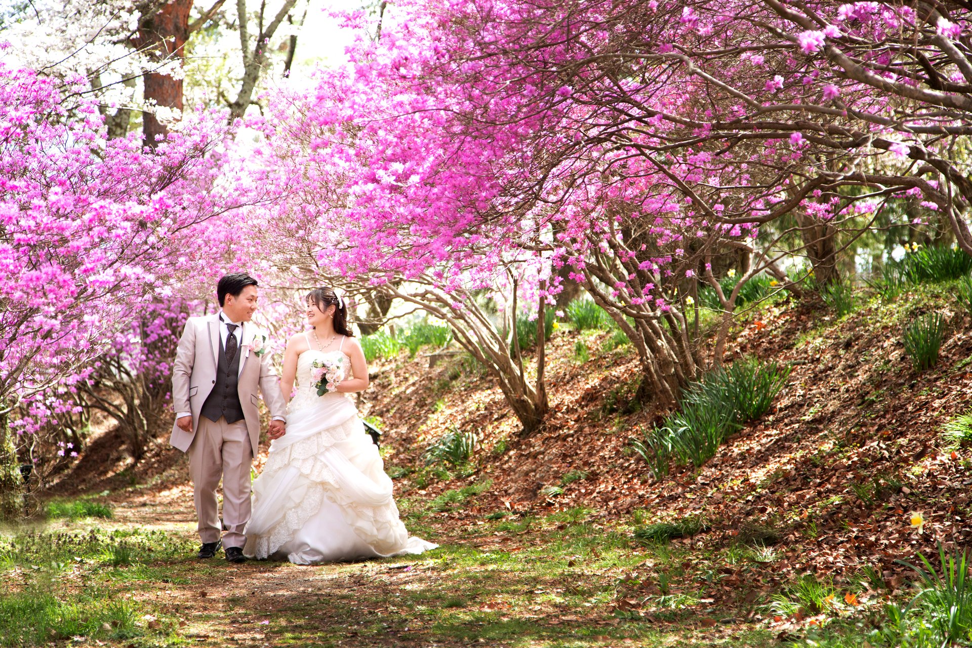 駒ヶ根フォトウエディング 花桃×春