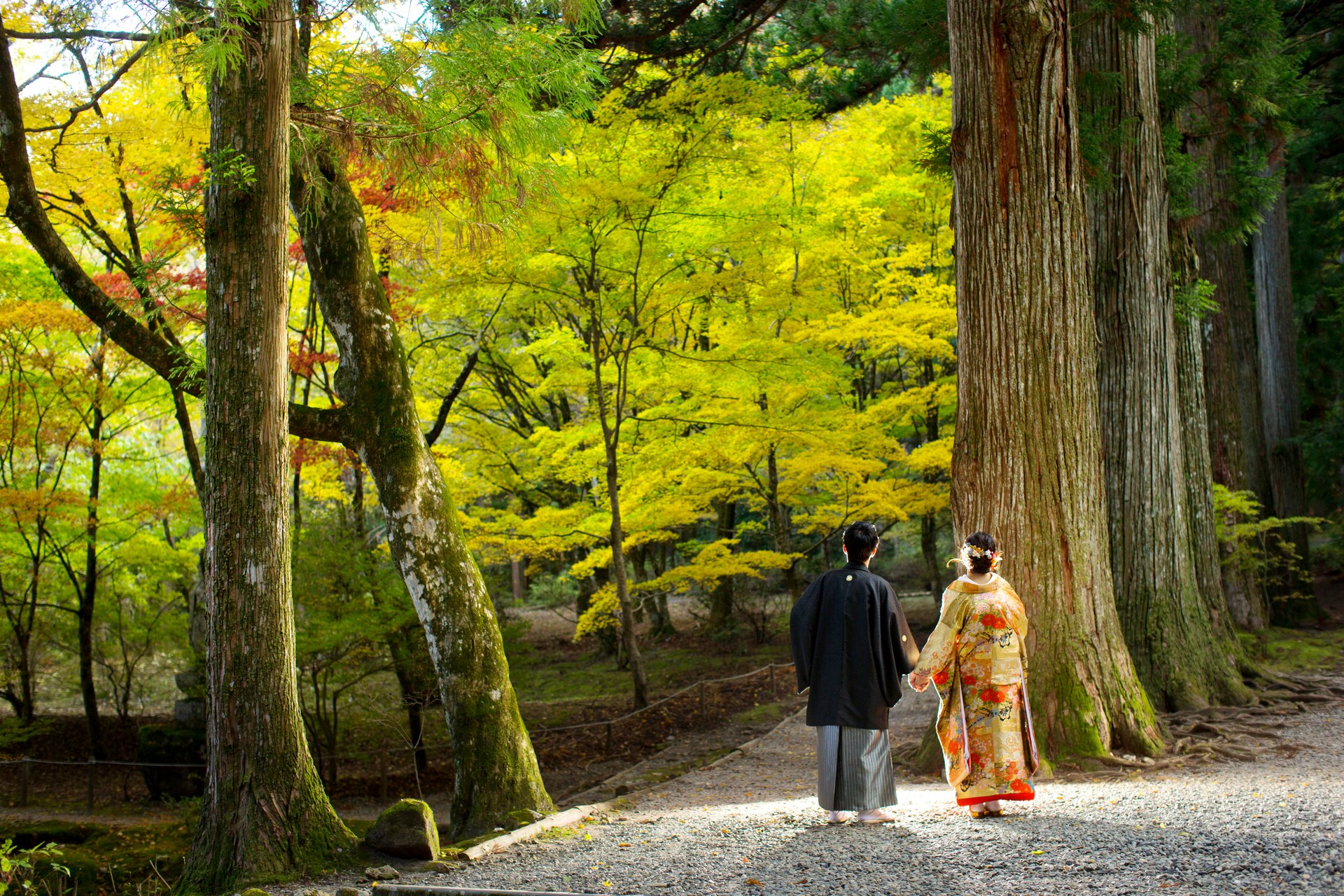 駒ヶ根フォトウエディング 紅葉×杉並木