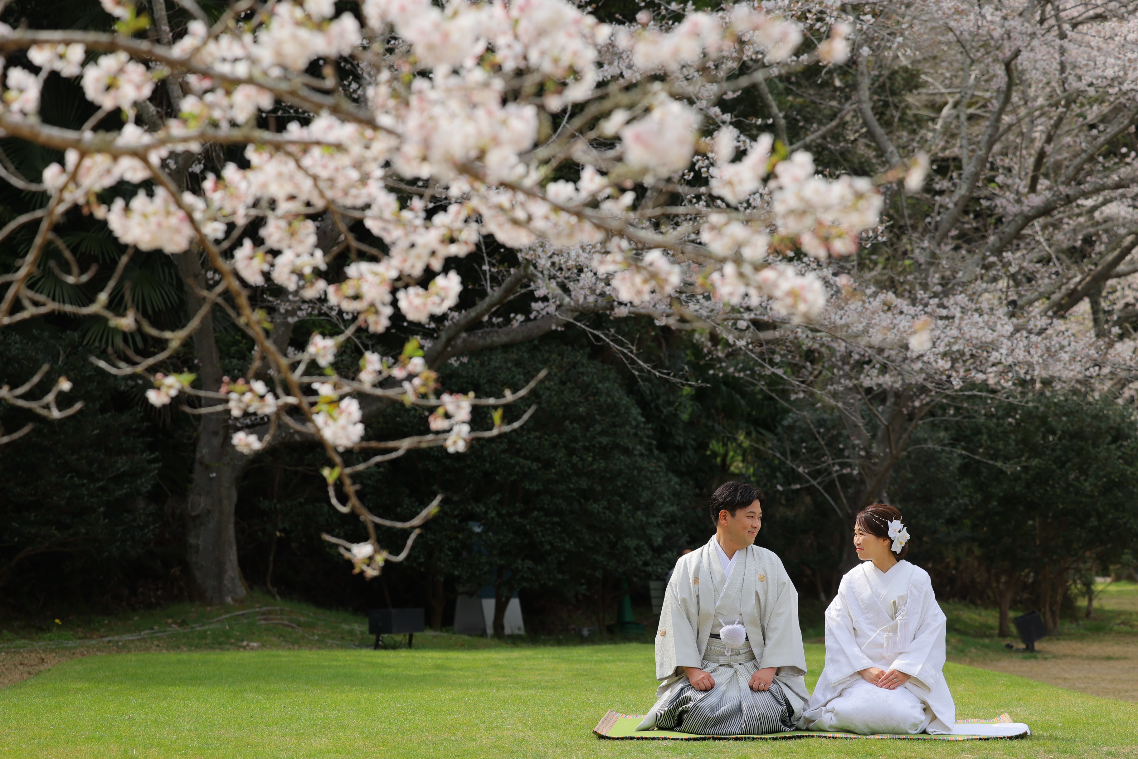 豊橋フォトウエディング 桜×和装