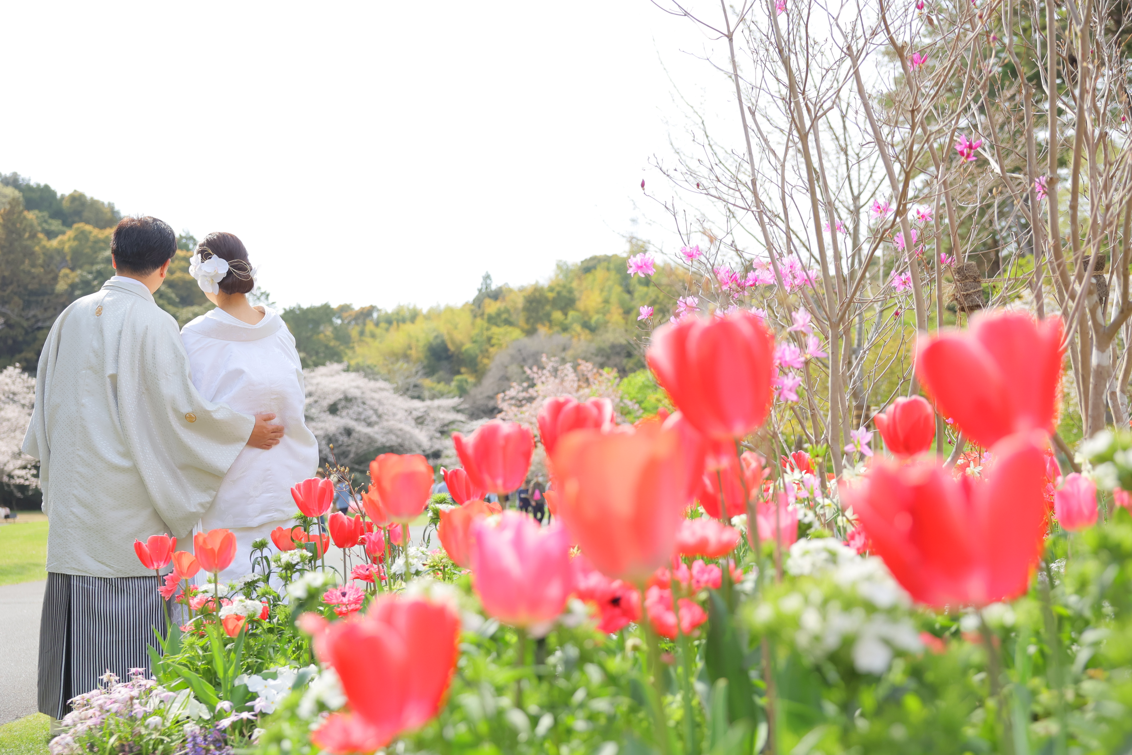 豊橋フォトウエディング チューリップ畑